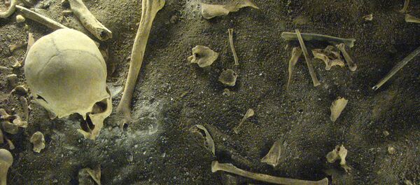 考古学者、女性の特異な「伸びた」頭骨発見、韓国 - Sputnik 日本