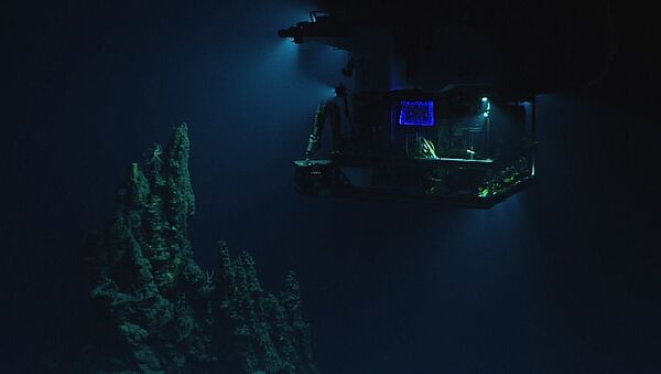 マリアナ海溝の海底で水銀が発見 - Sputnik 日本