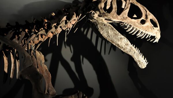 考古学者グループ　インドに恐竜がいたことを確認 - Sputnik 日本