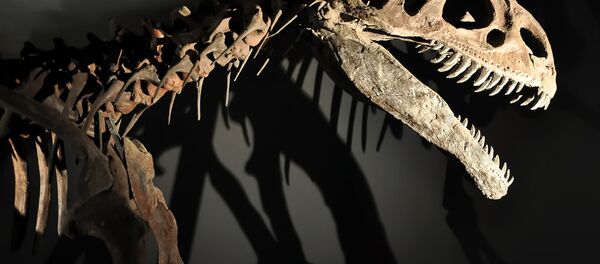 考古学者グループ インドに恐竜がいたことを確認 考古学者グループ インドに恐竜がいたことを確認 - Sputnik 日本