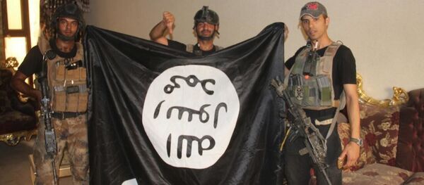 イラクでさらにもう一つの都市が「イスラム国」から完全解放される - Sputnik 日本