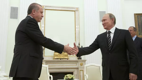 プーチン大統領とトルコのエルドアン大統領 - Sputnik 日本