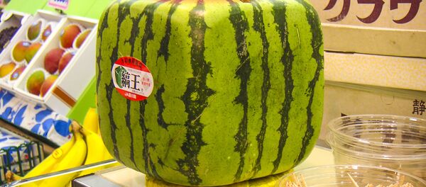 Квадратный арбуз в японском супермаркете Квадратный арбуз в японском супермаркете - Sputnik 日本