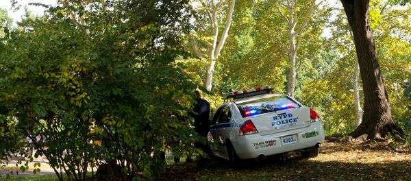 セントラルパーク セントラルパーク - Sputnik 日本