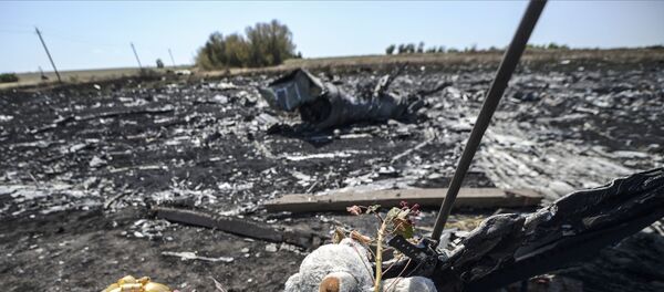 ウクライナ東部マレーシア航空機撃墜事件　マレーシア首相、ロシアに責任があるとする説得力のある証拠を求める - Sputnik 日本