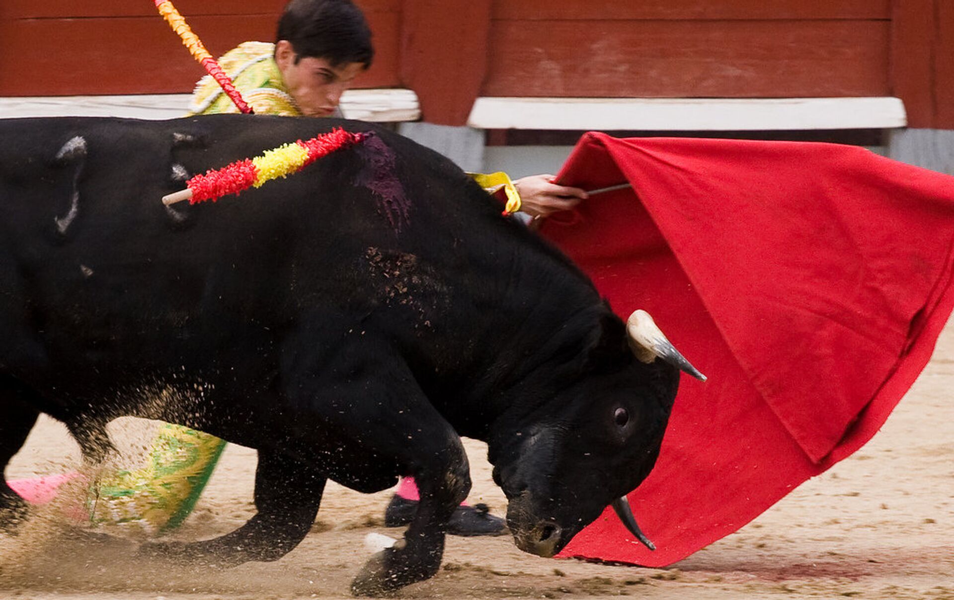 スペイン 闘牛 事故