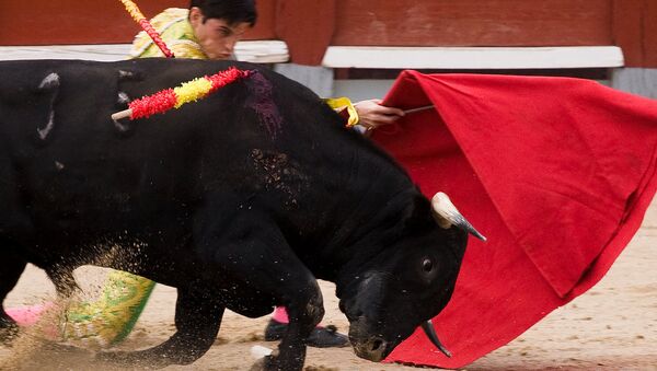 スペインで約３０年ぶりに闘牛士が牛に突かれて死亡 - Sputnik 日本