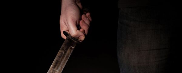 ドイツ シリア難民が心理療法士を殺傷 ドイツ シリア難民が心理療法士を殺傷 - Sputnik 日本