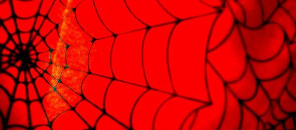 スパイダーマン スパイダーマン - Sputnik 日本