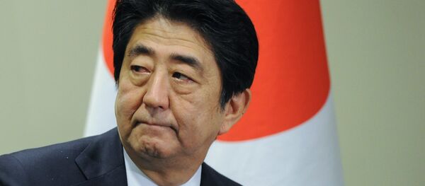 南クリル諸島 元島民の子孫が安倍首相に面談 一日も早い自由往来を訴え 南クリル諸島 元島民の子孫が安倍首相に面談 一日も早い自由往来を訴え - Sputnik 日本