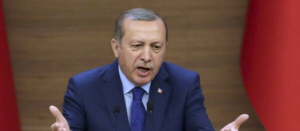エルドアン大統領 - Sputnik 日本
