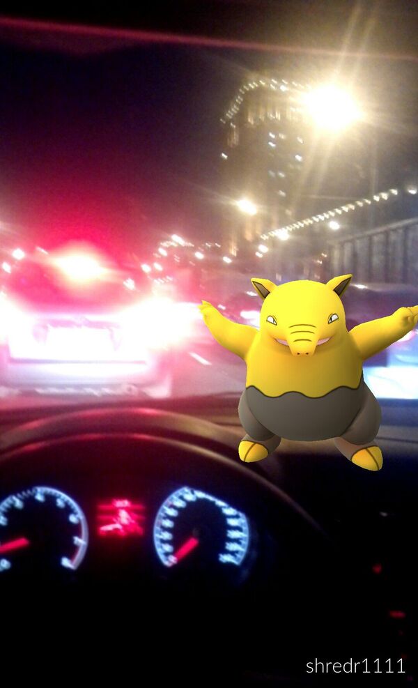 ポケモンたちがモスクワを占領 ポケモンたちがモスクワを占領 - Sputnik 日本