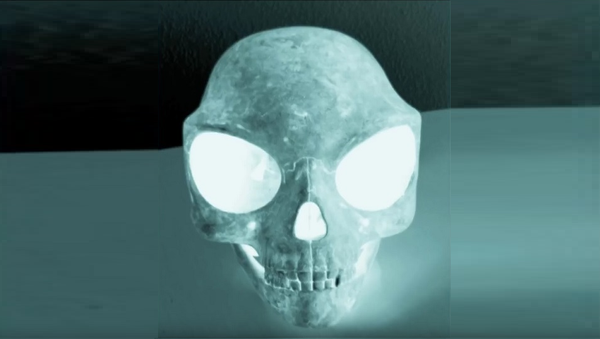デンマークでエイリアンの頭蓋骨見つかる - Sputnik 日本