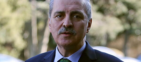 トルコのクルトゥルムシュ副首相 トルコのクルトゥルムシュ副首相 - Sputnik 日本