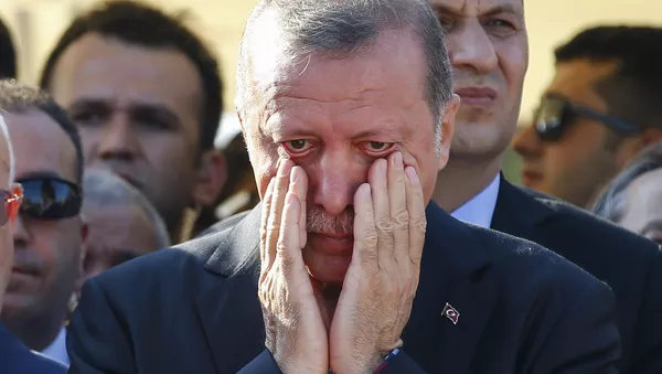 トルコで今、何が起きているのか？専門家がわかりやすく解説 - Sputnik 日本