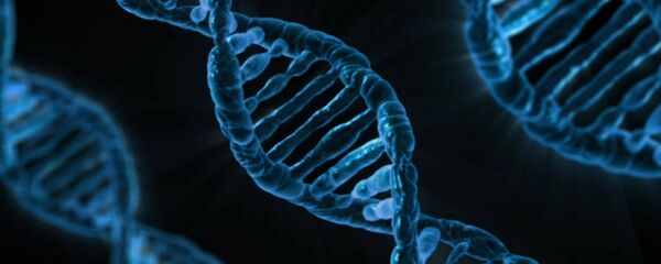 遺伝子 - Sputnik 日本