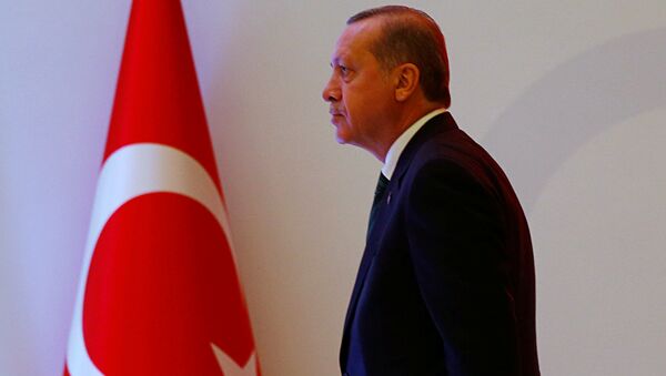 Президент Турции Реджеп Эрдоган в Стамбуле - Sputnik 日本