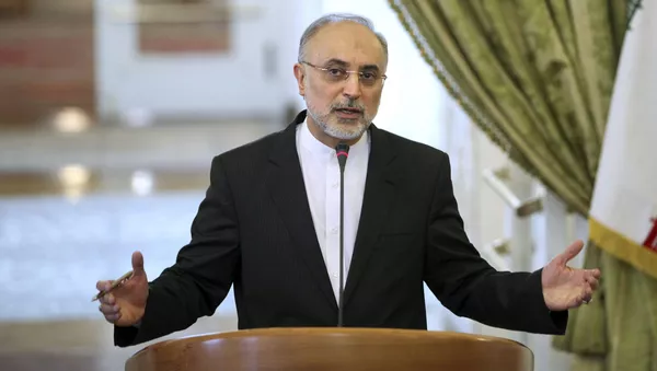 イランのサレヒ原子力庁長官 - Sputnik 日本