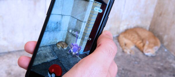 ポケモンGO ポケモンGO - Sputnik 日本