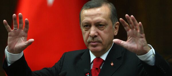 ドイツ議員、ドイツに対するエルドアン大統領の発言を非難 - Sputnik 日本