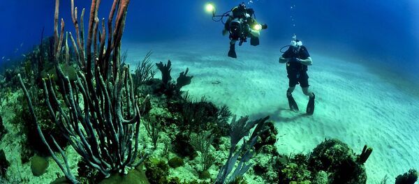 フランスで鉱物探査のための水中ロボットが開発される - Sputnik 日本