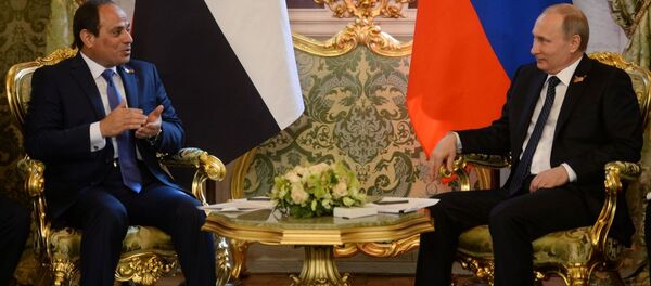 ロシア、エジプト初の原発建設 ロシア、エジプト初の原発建設 - Sputnik 日本