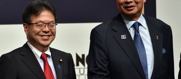 日露議員懇話会発足、機動力重視で政府をバックアップ 日露議員懇話会発足、機動力重視で政府をバックアップ - Sputnik 日本