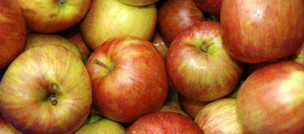 リンゴ - Sputnik 日本