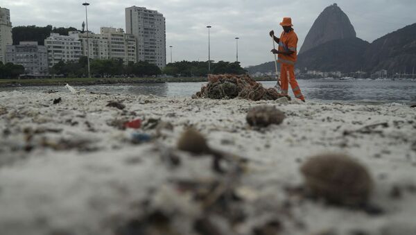 ２０１６年７月３０日。リオデジャネイロ・グアナバラ湾シュガーローフマウンテン近くのボタフォゴ海岸でゴミを収集する作業員。 - Sputnik 日本