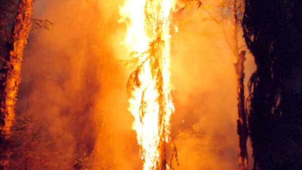チェルノブイリ原発に火の手が向かう　森林火災が悪化 - Sputnik 日本