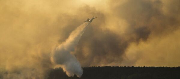 チェルノブィリ原発近くの森林火災　深刻な脅威に - Sputnik 日本
