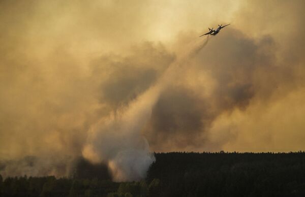 チェルノブイリ（ウクライナ）で森林火災 - Sputnik 日本