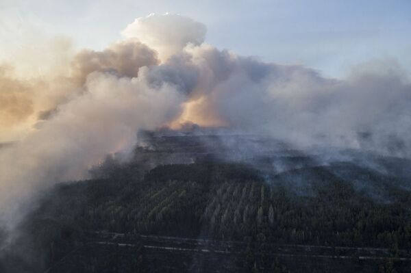 「グリンピース」　チェルノブイリ周辺でのセシウム137飛散を危惧 - Sputnik 日本