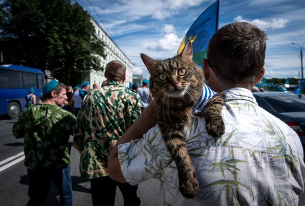 腕に猫を抱える男性　空挺部隊の日にサンクトペテルブルグで。 - Sputnik 日本