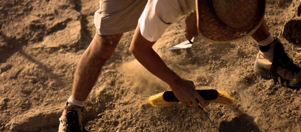 絶滅した哺乳類の系統の新種を発見 シベリア 絶滅した哺乳類の系統の新種を発見 シベリア - Sputnik 日本