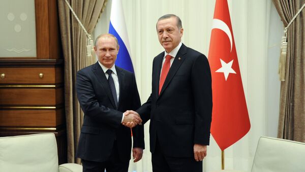 プーチン大統領とエルドアン大統領がペテルブルグで会談　露土首脳会談は握手で始まる - Sputnik 日本