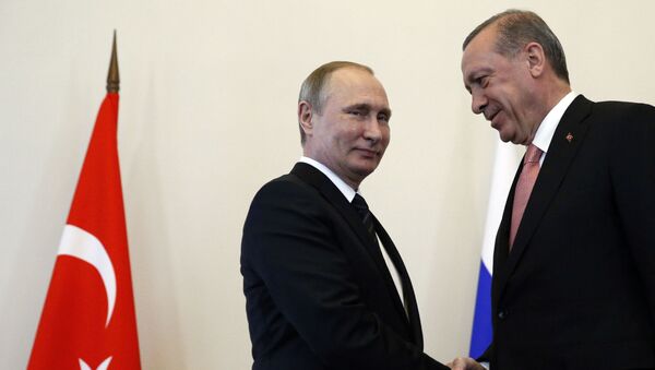 プーチン大統領とエルドアン大統領 - Sputnik 日本