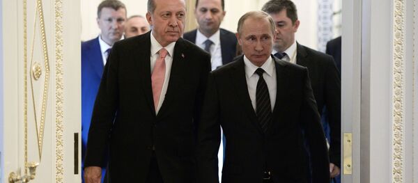 プーチン、エルドアン両大統領の連合は世界のパワーバランス変える可能性 プーチン、エルドアン両大統領の連合は世界のパワーバランス変える可能性 - Sputnik 日本