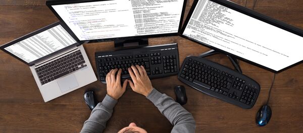 ハッカー、米議員200人の個人情報をネットに公開 - Sputnik 日本