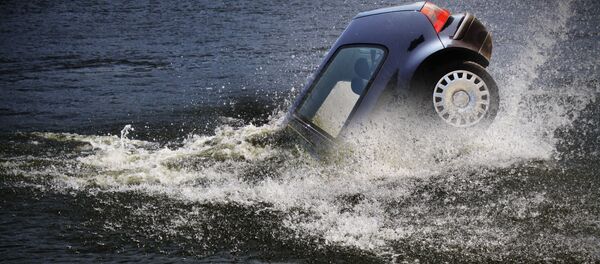 米国人、沈む車から女性と犬を助ける - Sputnik 日本