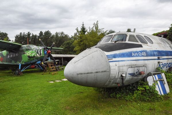 カフェのオーナーは大の航空機好き。野外博物館顔負けのコレクション。 - Sputnik 日本
