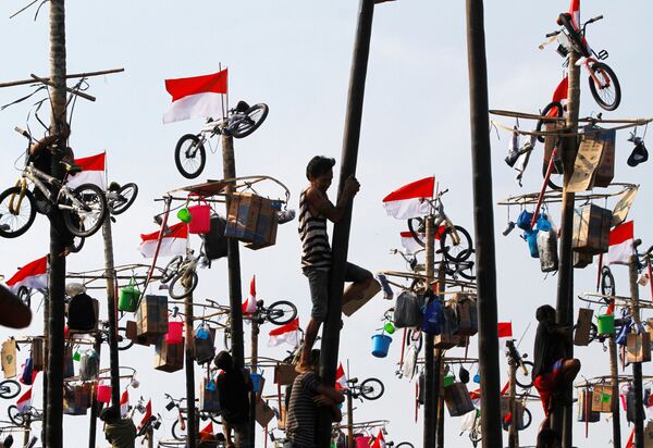 伝統競技「パンジャット・ピナン（油をたっぷり塗った4～5mの木に登り、頂上にあるプレゼントを目指す ）」の参加者達　インドネシア独立71周年を祝う首都ジャカルタで。 - Sputnik 日本