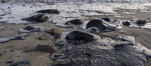 石油の流出 石油の流出 - Sputnik 日本