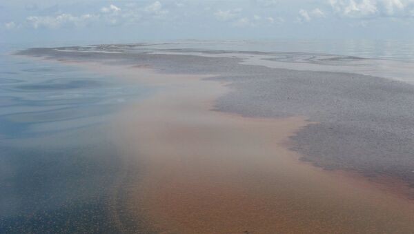 紅海で環境災害　２００トン以上の石油が流出 - Sputnik 日本