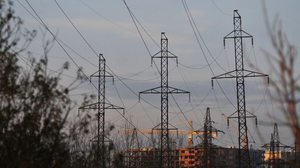 ドイツ西部、エネルギー危機で非常事態を宣言 - Sputnik 日本