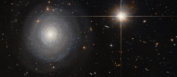 NASAの不思議な星の写真でネットが沸く 【写真】 NASAの不思議な星の写真でネットが沸く 【写真】 - Sputnik 日本