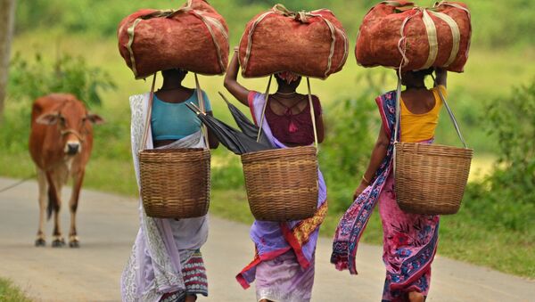 Индийские девушки несут мешки чайных листьев на чайной плантации в штате Ассам - Sputnik 日本