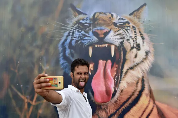 インド人、ポスターの虎とセルフィ、ニューデリー、インド インド人、ポスターの虎とセルフィ、ニューデリー、インド - Sputnik 日本
