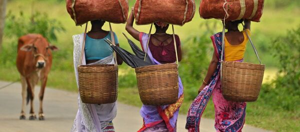 カフェイン - Sputnik 日本