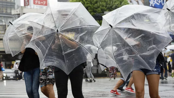 台風 - Sputnik 日本